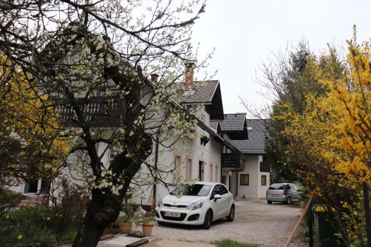 Apartment Mary Блед Экстерьер фото